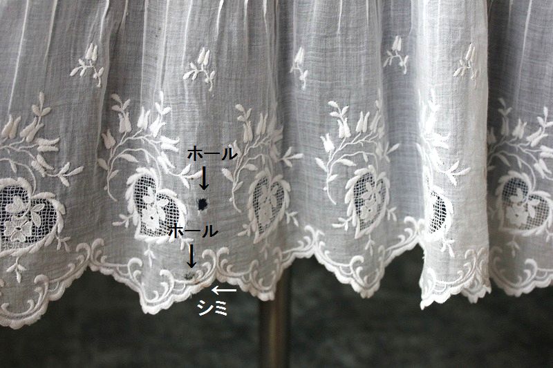 ホール&シミ.jpg